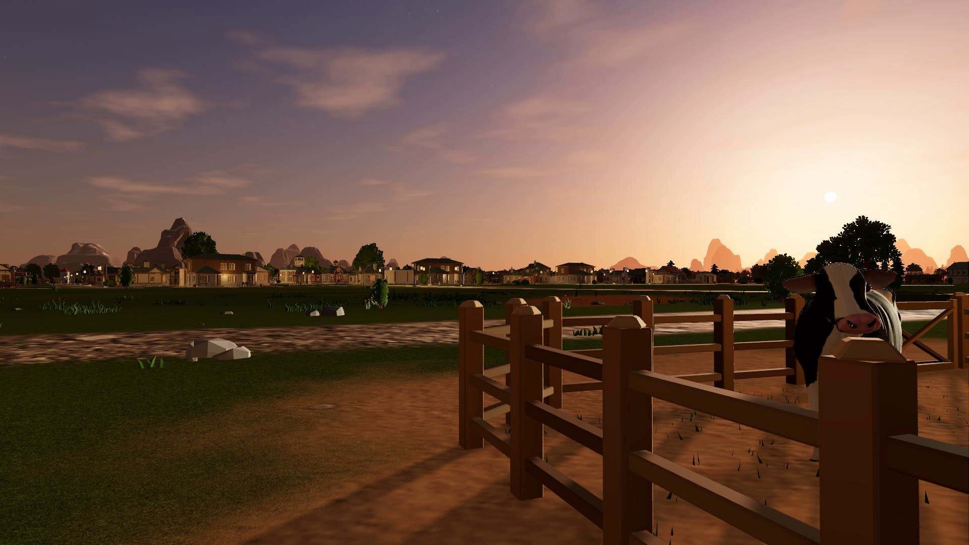 Golden hour on the farms outside town.